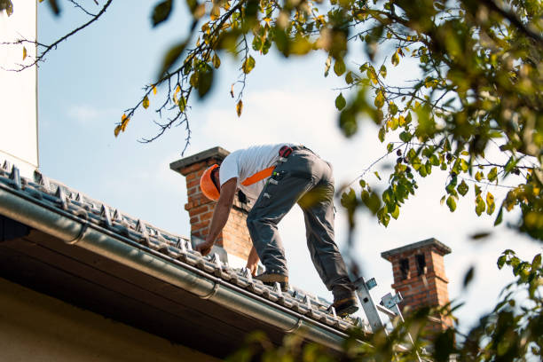 Best Roof Leak Repair  in South Haven, MI