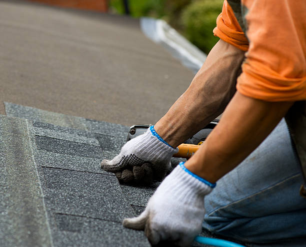 Best Emergency Roof Repair  in South Haven, MI