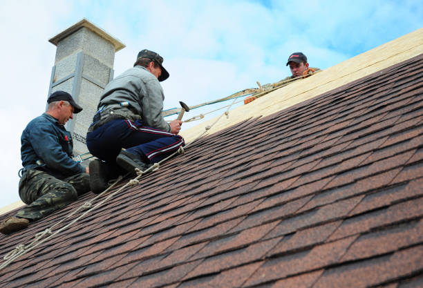 Best New Roof Installation  in South Haven, MI