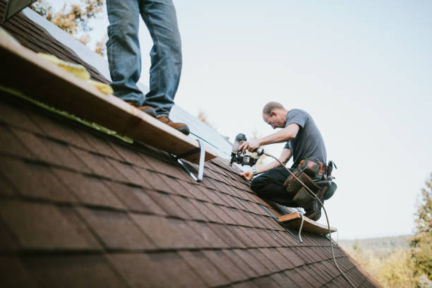 Best Storm Damage Roof Repair  in South Haven, MI